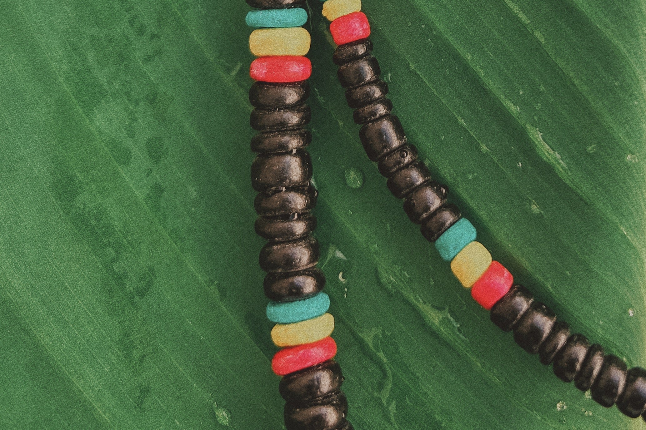 A Little Bit of Color