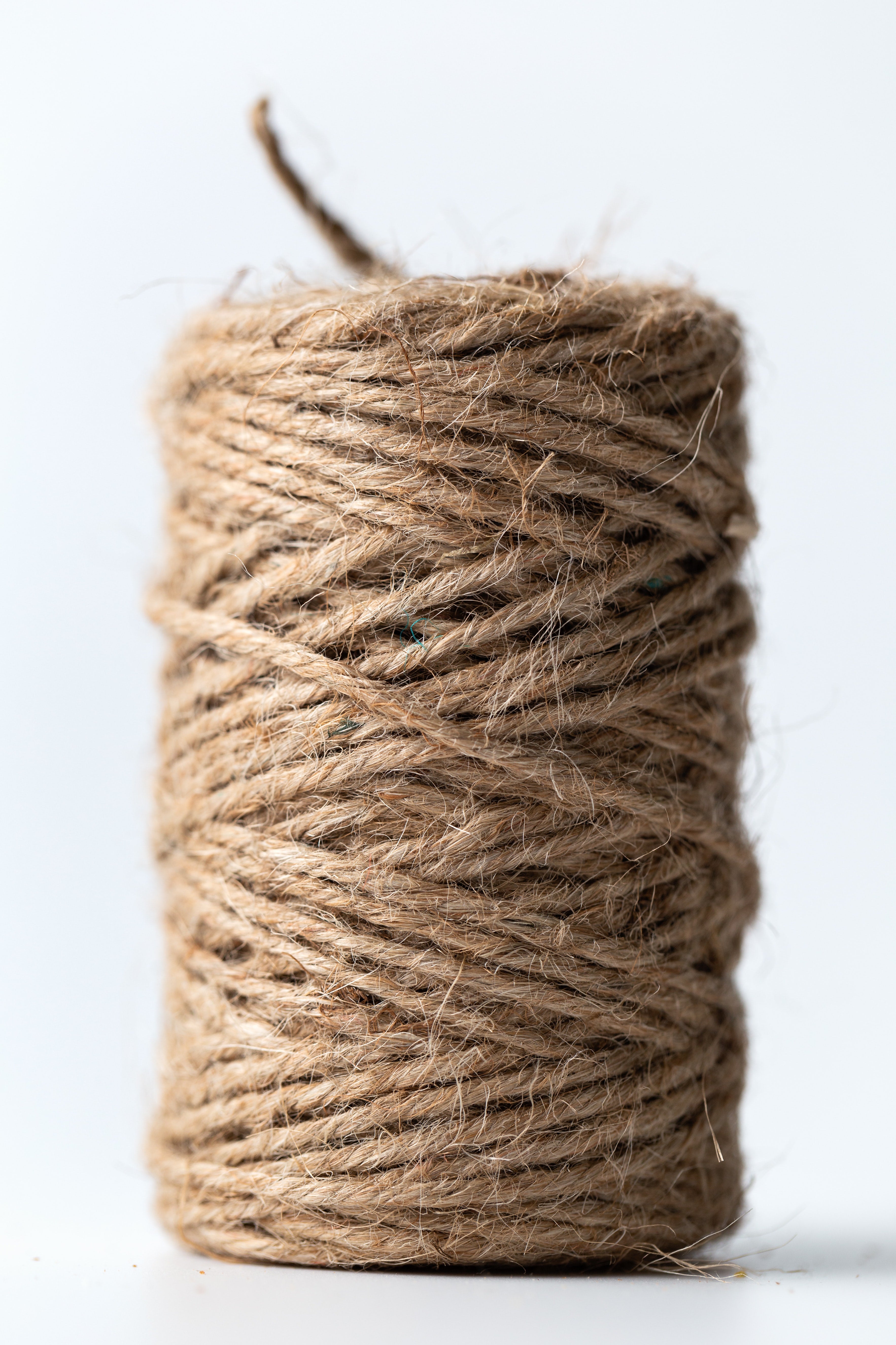 Hemp