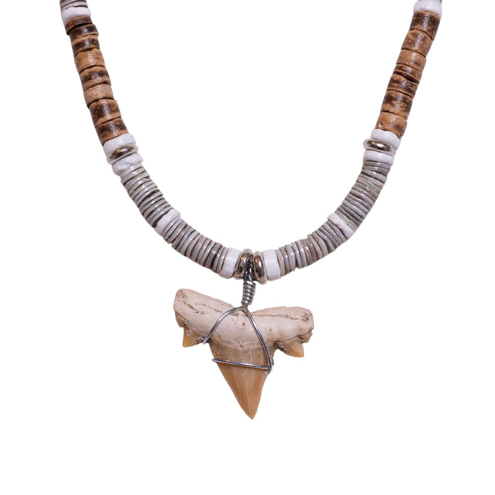 Fossil Shark Tooth on Tiger Brown Coconut & Gray Shell Beads Necklace (18" 2S)
