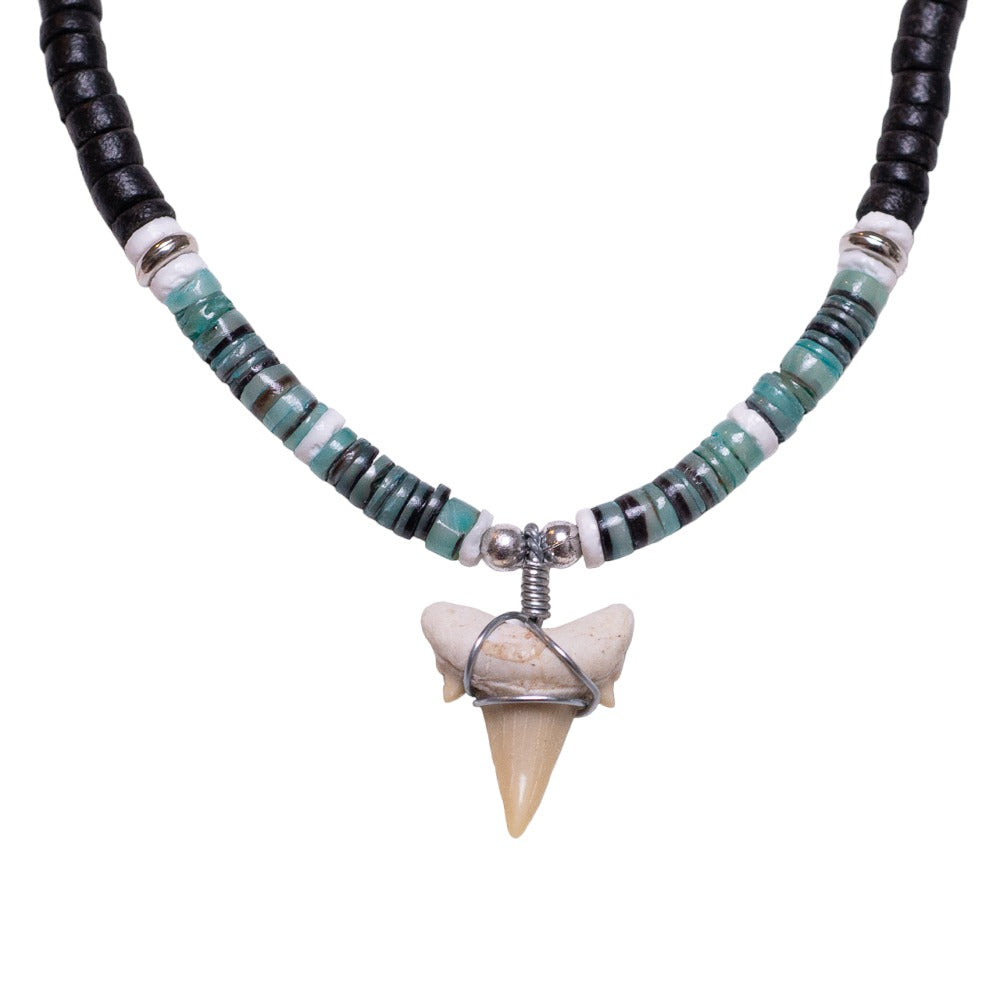 Fossil Shark Tooth on Black Coconut & Green Shell Beads Necklace (18" 1S)