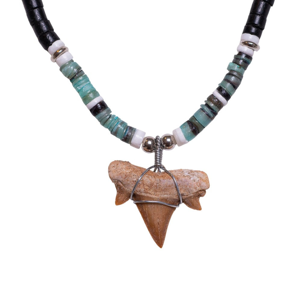 Fossil Shark Tooth on Black Coconut & Green Shell Beads Necklace (18" 2S)