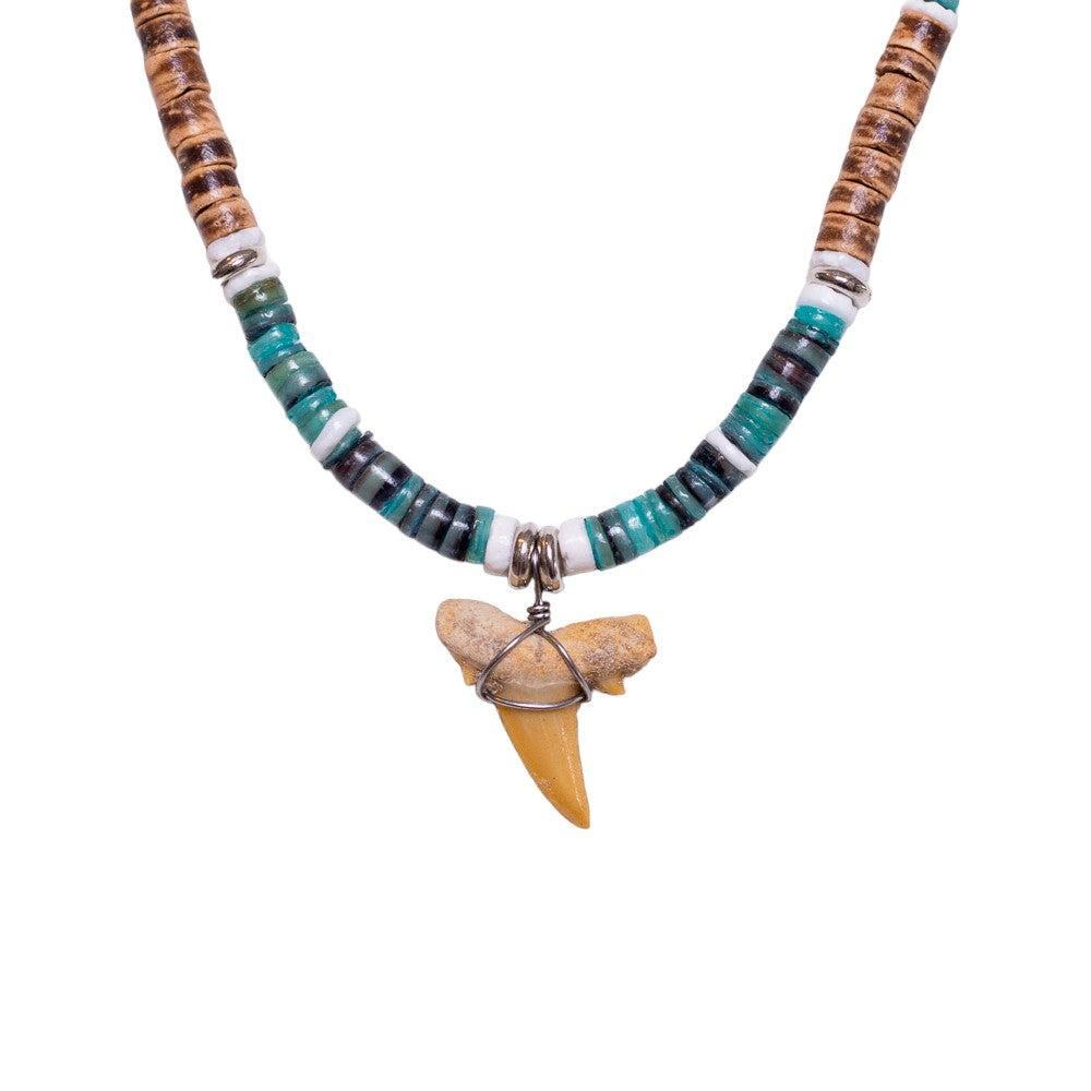 Fossil Shark Tooth on Coconut Shell Beads Necklace (1S 18")