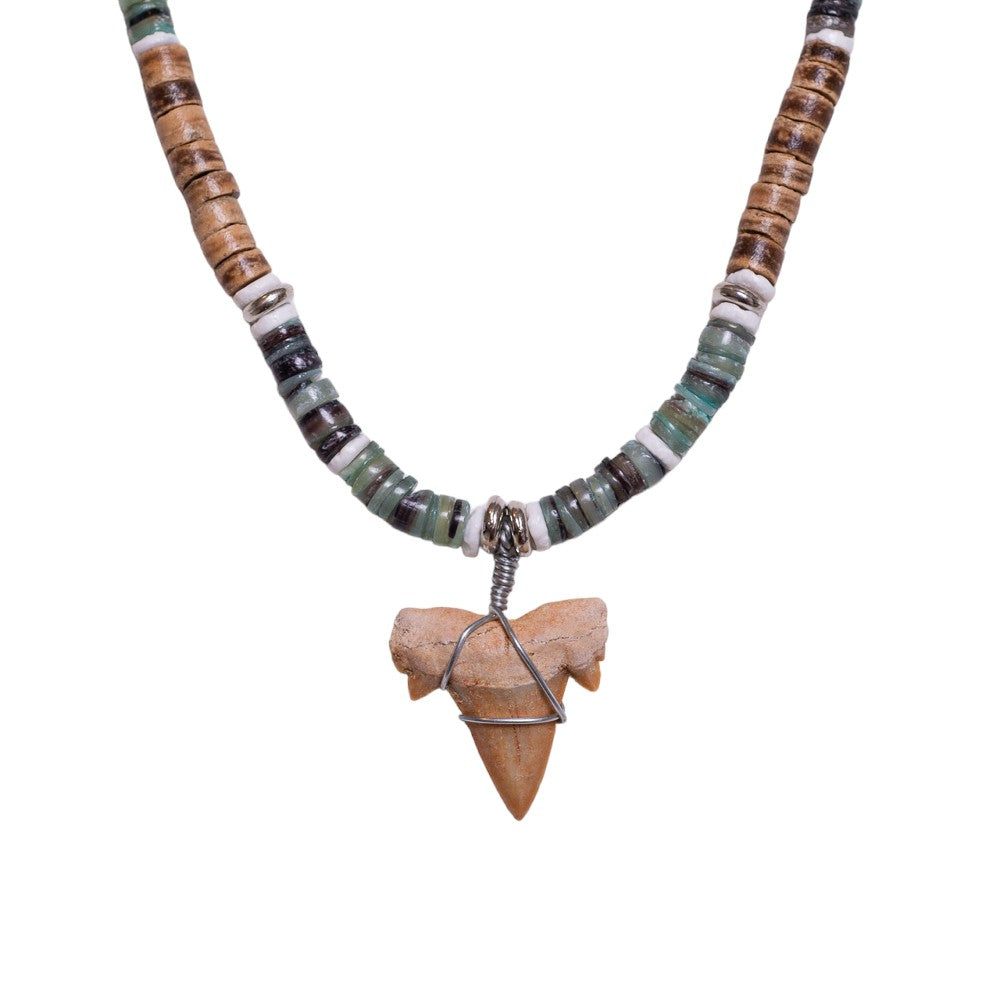 Fossil Shark Tooth on Tiger Brown Coconut & Green Shells Necklace (18" 2S)
