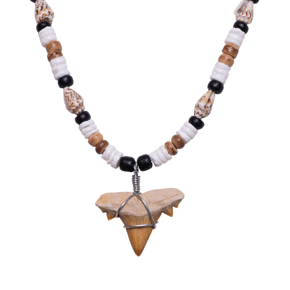 Fossil Shark Tooth on Tiger Brown Coconut & Nassa Shells Necklace (18" 2S)