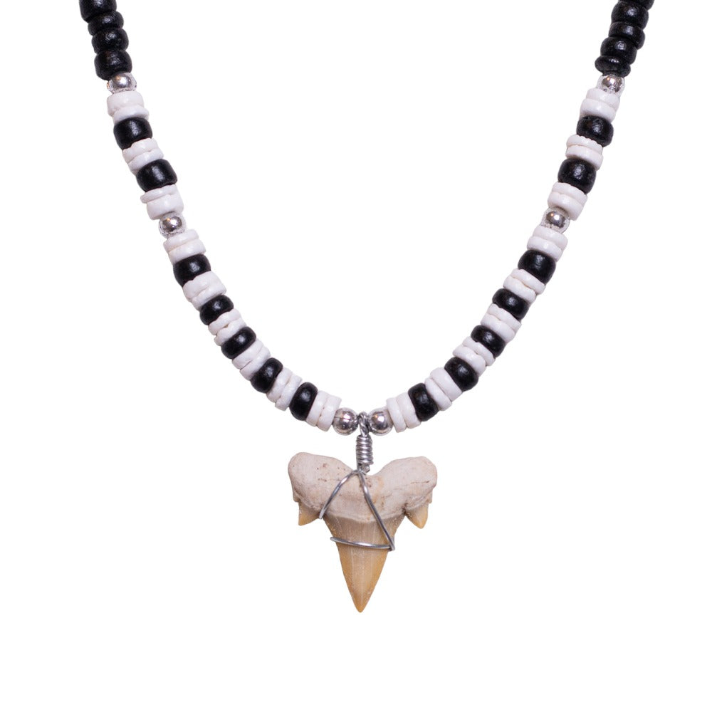 Fossil Shark Tooth on Black Coconut and Puka Shell Beads Necklace (18" 2S)