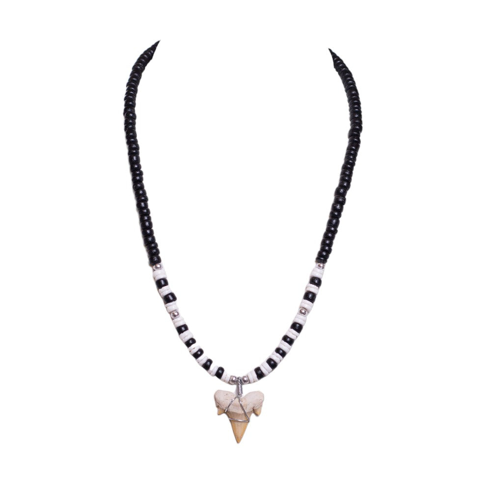 Fossil Shark Tooth on Black Coconut and Puka Shell Beads Necklace (18" 2S)