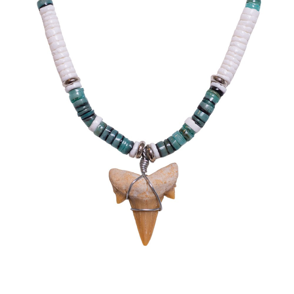 Fossil Shark Tooth on Puka & Green Shell Beads Necklace (18" 2S)