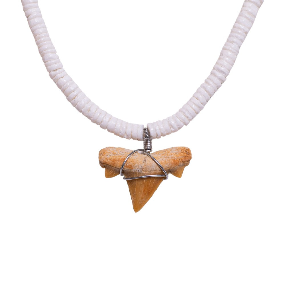 Fossil Shark Tooth on Puka Shell Beads Necklace (18" 2S)