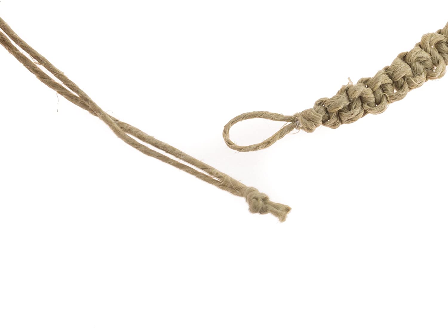 Nassa Shells, Black Coconut and Blue Beads on Hemp Anklet Bracelet