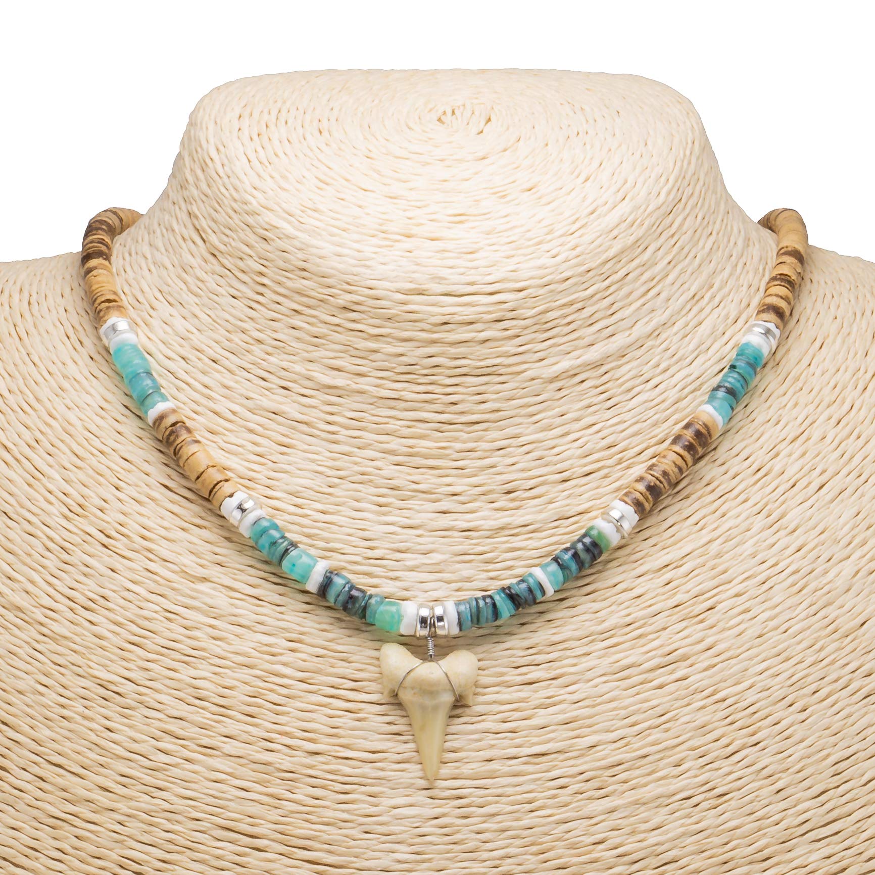 ¾"+ Shark Tooth Pendant on Tiger Coconut & Green Shell Beads Necklace