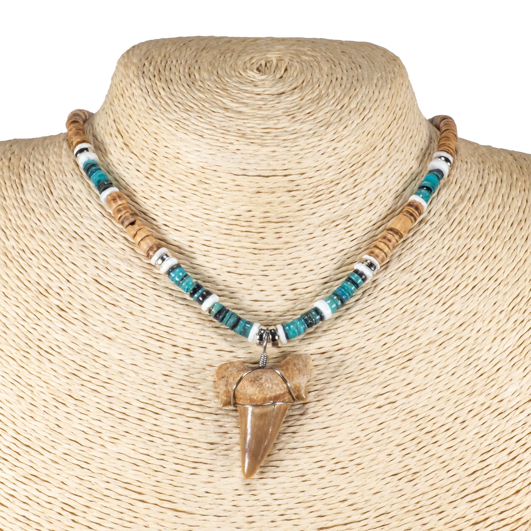 1¼"+ Shark Tooth Pendant on Tiger Coconut & Green Shell Beads Necklace