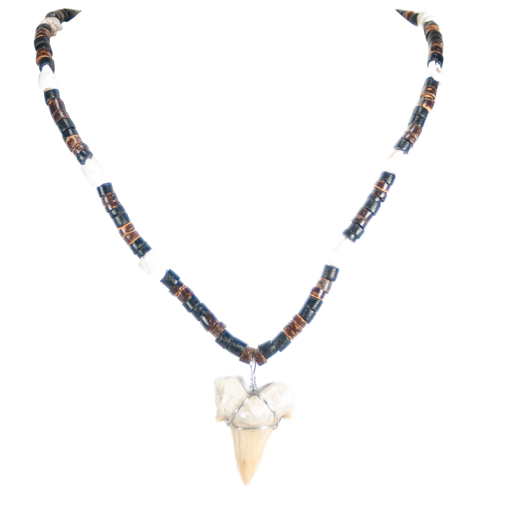 Shark Tooth Pendant on Coconut Beads and Nassa Shells Necklace