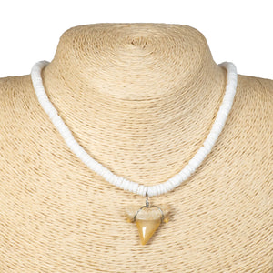 1"+ Shark Tooth Pendant on Puka Shell Beads Necklace