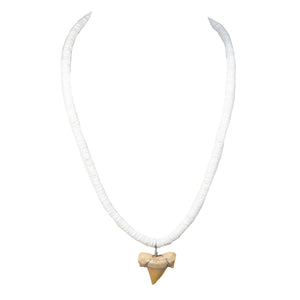 1"+ Shark Tooth Pendant on Puka Shell Beads Necklace